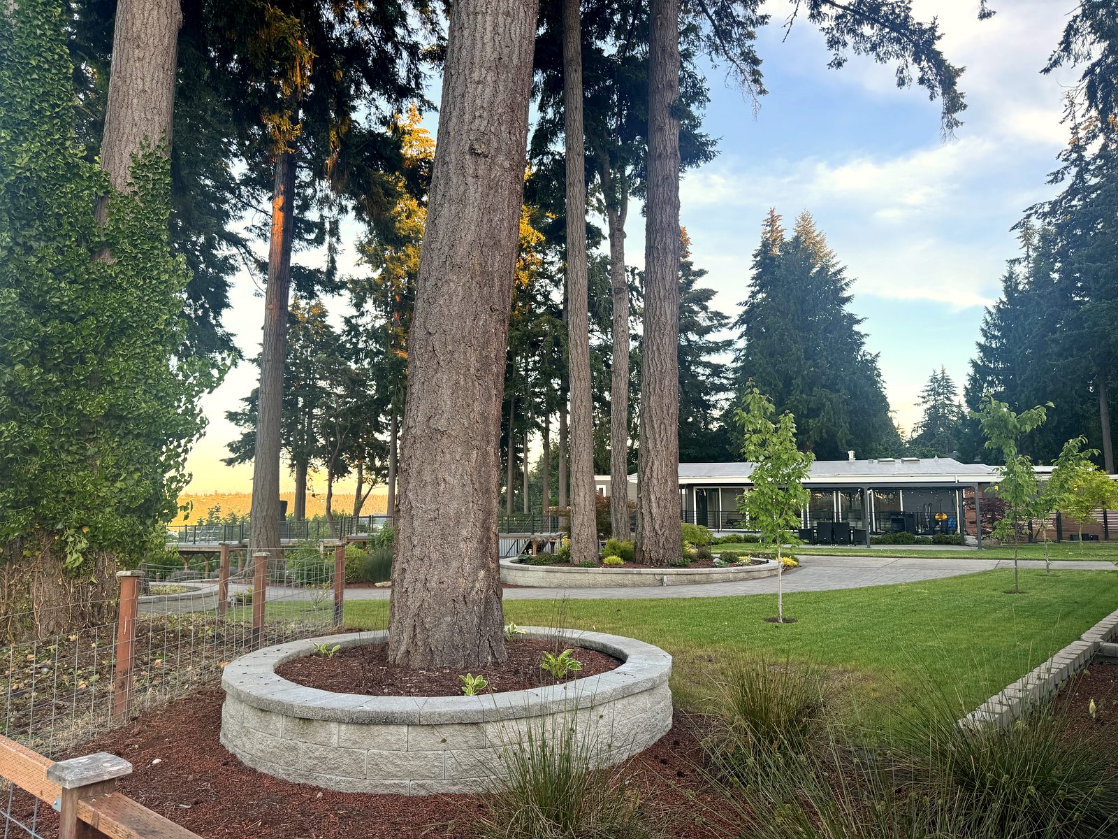 The garden where we'll celebrate, with tall trees, a flower-ringed planter, and an open lawn glowing at golden hour